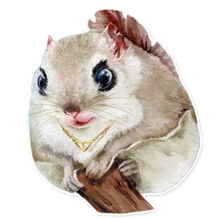 💎 リス, 動物, ステッカー, ゴールドネックレス, げっ歯類 whatsapp sticker