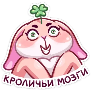 🐇 КРОЛИЧЬИ МОЗГИ кролик, заяц, клевер, животное, милый, мультик, удача telegram sticker