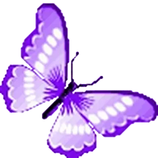 🦋