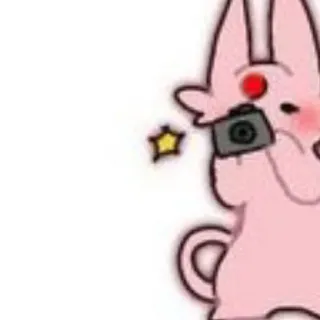 📸 konijn, konijntje, cartoon, schattig, camera, fotograaf telegram sticker