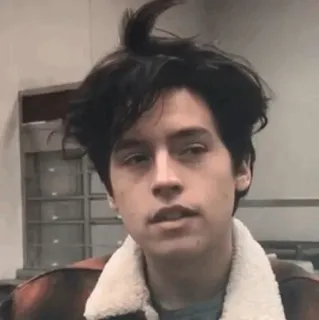 💸 Cole Sprouse actor, celebrity, portrait, man telegram sticker