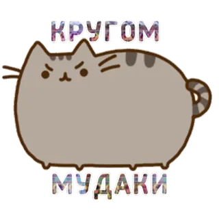 😩 КРУГОМ МУДАКИ кот, русский, оскорбительный whatsapp sticker
