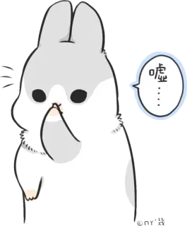😐 噓…… królik, słodki, królik, zwierzę, cicho, psst telegram sticker