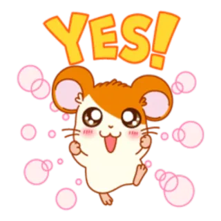 ☺️ YES! chuột hamster, có, dễ thương, động vật, ăn mừng, tích cực telegram sticker