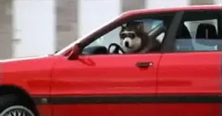 🚘 dog telegram sticker