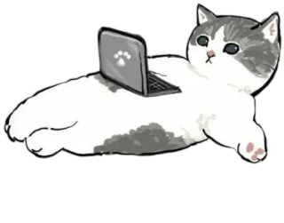 💻 gato, laptop, animal, computador, animal de estimação, fofo telegram sticker