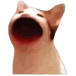 Popping Cat | @Premium_Emojis_Telegram telegram emojis 😼
