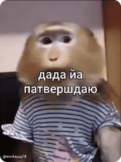 🌟 дада йа патвершдаю scimmia, scimmia antropomorfa, animale, meme, divertente, conferma whatsapp sticker