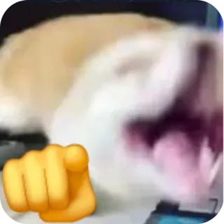 😆 dog telegram sticker