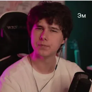 🤭 Эм 남자, 사람, 인물 사진, 게이머, 스트리밍, 온라인, 인터넷 telegram sticker