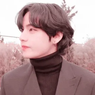 🗼 V K-Pop, BTS, cantante, celebridad, ídolo, masculino telegram sticker