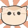 🐱