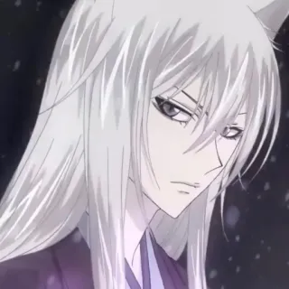 😕 Tomoe Kamisama Kiss 动漫, 狐狸, 恶魔, 巴卫, 元气少女缘结神, 角色, 漫画 telegram sticker