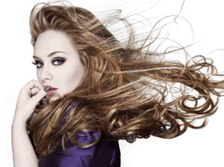 🙆 Adele cantante, mujer, celebridad, retrato, pelo, hermosa telegram sticker