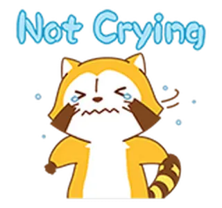⚡ Not Crying piangere, animale, cartone animato, tanuki, cane procione, triste, emozioni telegram sticker