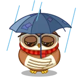 ☔️