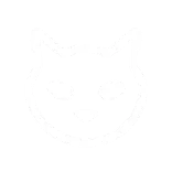 😺