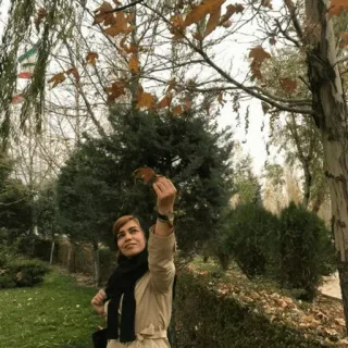 💋 femme, nature, feuilles, parc, automne, automne telegram sticker