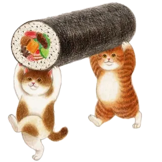 🍙 고양이, 스시, 귀여운, 음식, 동물 telegram sticker