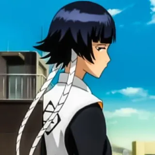 🤨 Soi Fon Bleach Anime, Charakter, Soi Fon, Bleach telegram sticker