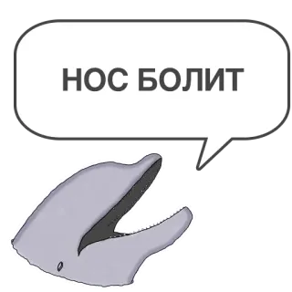 👃 НОС БОЛИТ delfín, bocadillo, ruso, animal, dibujo animado whatsapp sticker