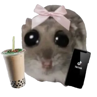 🥰 Tik Tok 햄스터, 틱톡, 버블티, 귀여운, 밈 whatsapp sticker