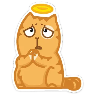 😇 chat, ange, orange, mignon, triste, prier, halo telegram sticker