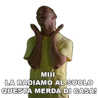 🏚 MIII
LA RADIAMO AL SUOLO
QUESTA MERDA DI CASA! offensant, italien, juron, expression, en colère, insultes whatsapp sticker