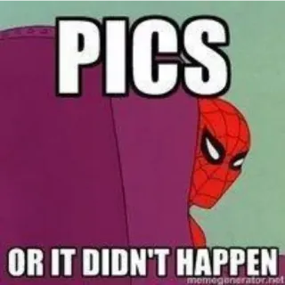 🤥 Spider-Man PICS OR IT DIDN'T HAPPEN spider-man, pics, meme, cartoon, superhero telegram sticker