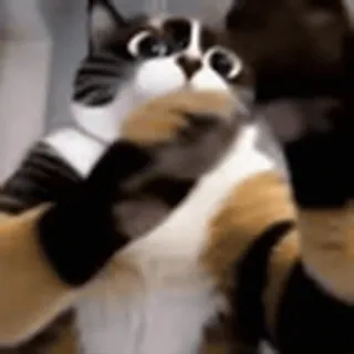 😡