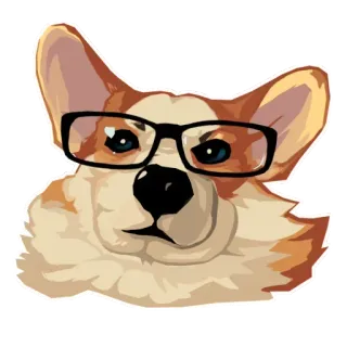 Corgi Dog @stickersb2b telegram stickers