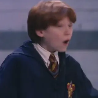🦁 Ron Weasley Harry Potter ロン・ウィーズリー, ハリー・ポッター, 魔法使い, 魔法, 映画, キャラクター telegram sticker