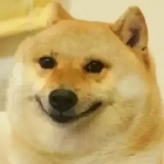 🙂 doge dog, meme, animal, funny, shiba inu telegram sticker