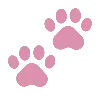 🐾