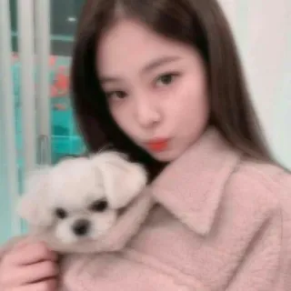 🥟 người, chó, chân dung, dễ thương, thú cưng, động vật telegram sticker