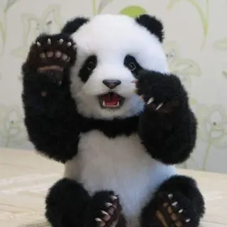 🐼 Panda, Animal, Mignon, Mammifère, Faune, Ours whatsapp sticker