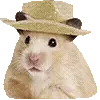 Хомяк в шляпе онли @mnennn :: @fStikBot telegram emojis 🤨