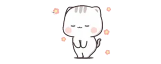 ✨ Katze, Sticker, süß, Tier telegram sticker