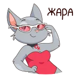 🥵 gato, desenho animado, óculos, animal, adesivo, feminino whatsapp sticker