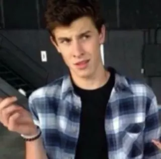😧 Shawn Mendes singer, celebrity, musician, pop star, performer telegram sticker