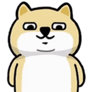 💬 perro, animal, dibujo animado, lindo, mascota telegram sticker