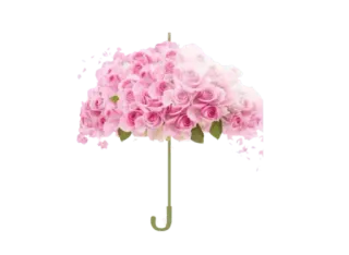 🌸 ดอกไม้, ดอกกุหลาบ, ร่ม, สีชมพู, ลายดอก, น่ารัก telegram sticker