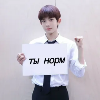 🤬 ты норм ロシア, アファメーション, ポジティブ, kpop, セレブ telegram sticker