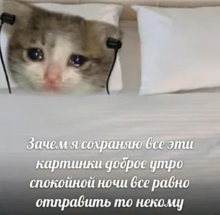 🤍 Зачем я сохраняю все эти
картинки доброе утро
спокойной ночи все равно
отправить то некому gato, triste, almofada, fones de ouvido, russo, meme telegram sticker