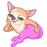 🐶