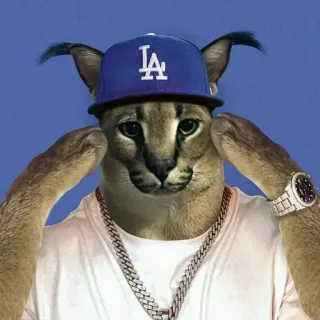 🌟 cat, floppa, dodgers, cap, jewelry, bling, meme telegram sticker