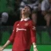 😪