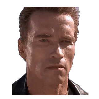 😤 Arnold Schwarzenegger นักแสดง, คนดัง, ภาพเหมือน, ภาพยนตร์, ออสเตรีย telegram sticker