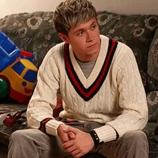 🌙 Niall Horan Niall Horan, One Direction, Sänger, Promi, Porträt telegram sticker