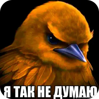 🫥 Я ТАК НЕ ДУМАЮ angry bird, yellow bird, disagreement, skeptical, serious, meme, stare telegram sticker